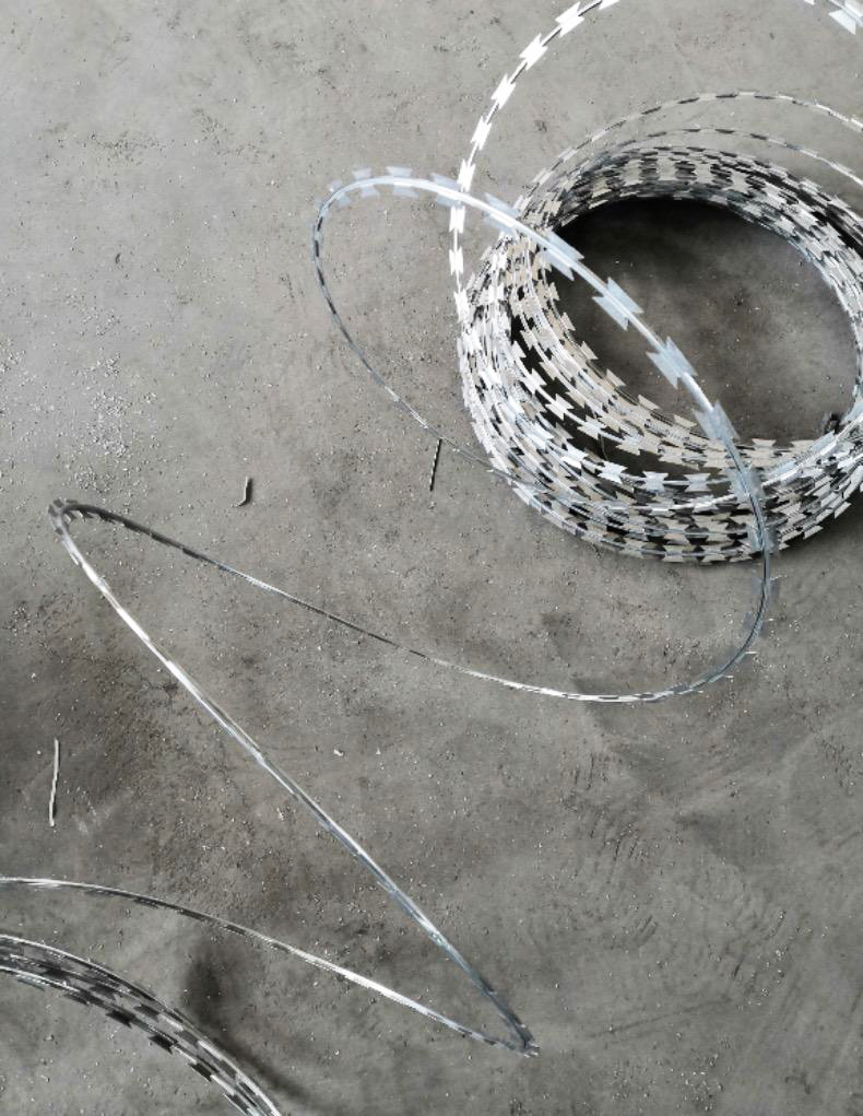 不銹鋼棘線-刀片棘線-防盜勒線-不銹鋼刀刺網-防爬刺網-刺網圍籬2