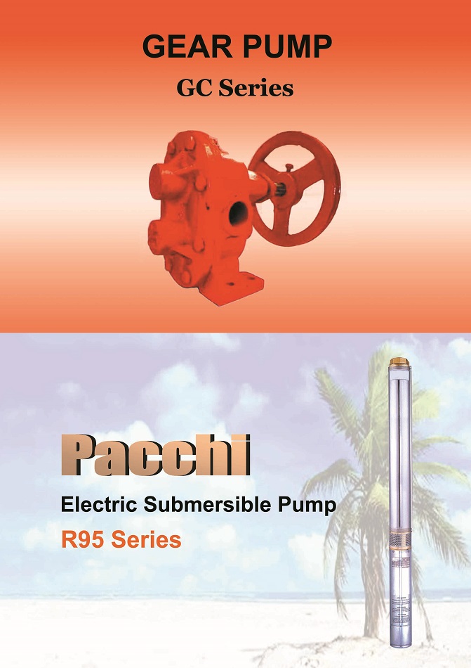 Pacchi 深井潛水泵 齒輪泵 Gear Pump  Pacchi Electric Submersible Pump Pacchi 潛水電泵1
