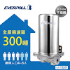 全屋過濾系統300噸Everpoll-FH301台灣淨水器雙效複合式濾芯除鉛(不包安裝)EVERPOLL愛惠浦專利